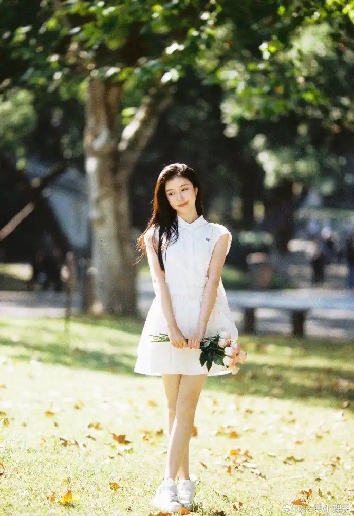 步步生莲游戏画面